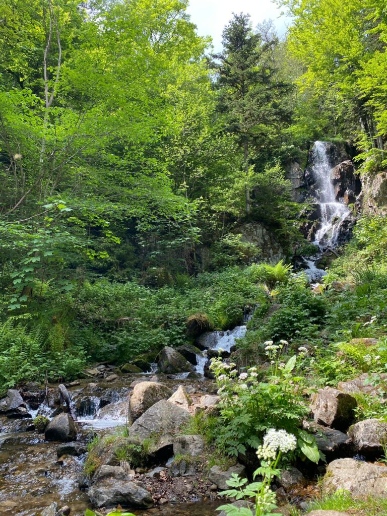 Cascade du Hohwald ©Anaïse Mazzanti Lang