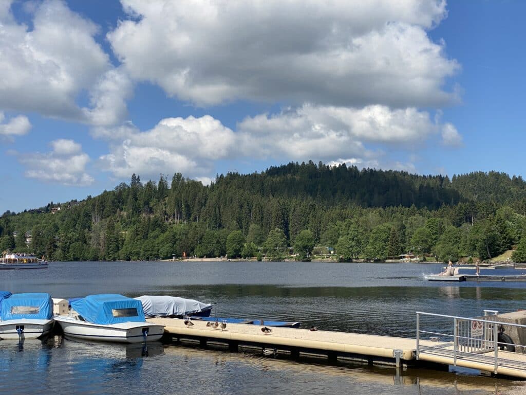 Lac de titisee en Allemagne, balade en forêt noire, sortie famille sur le lac. Promenade facile lac titisee. Sortie allemagne proche feldberg.