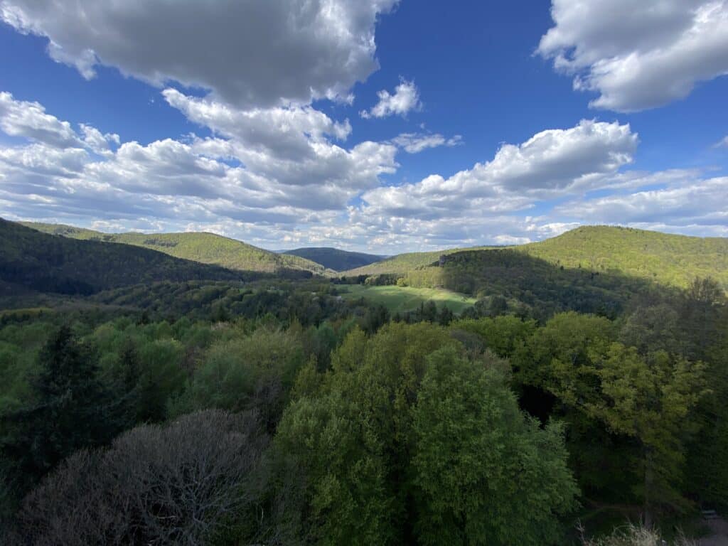 Vue sur les forêts des Vosges du Nord en haut du Château de Fleckenstein crédit photo ©Anaïse Mazzanti Lang
