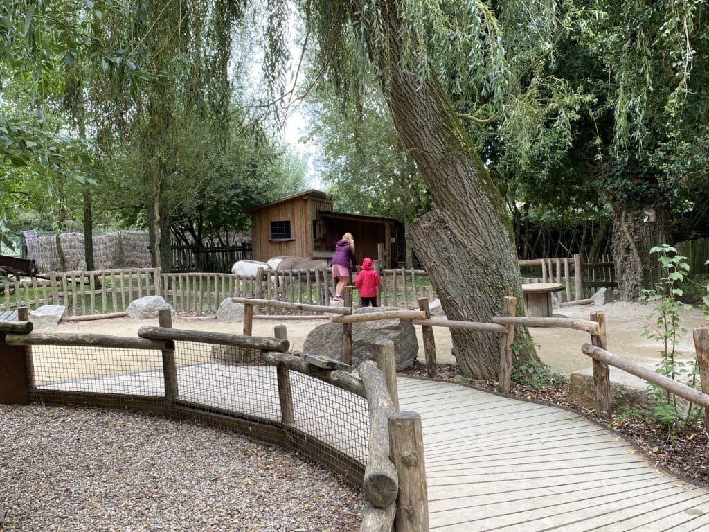Naturoparc Hunawhir Ribeauvillé route des vins d'alsace, parc animaux en famille. loutre, grand hamster d'alsace, cigognes. Où voir des cigognes en alsace ? proche de cigoland. proche de l'écomusée d'Alsace. sortie nature en famille en alsace à 1 heure de strasbourg. près de colmar Crédit photo ©Anaïse Mazzanti Lang