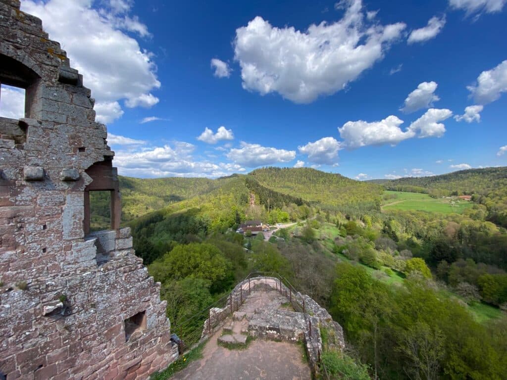 Belle vue sur la forêt des Vosges du Nord, depuis le haut du Château de Fleckenstein à Lembach, en Alsace. ©Anaïse Mazzanti Lang