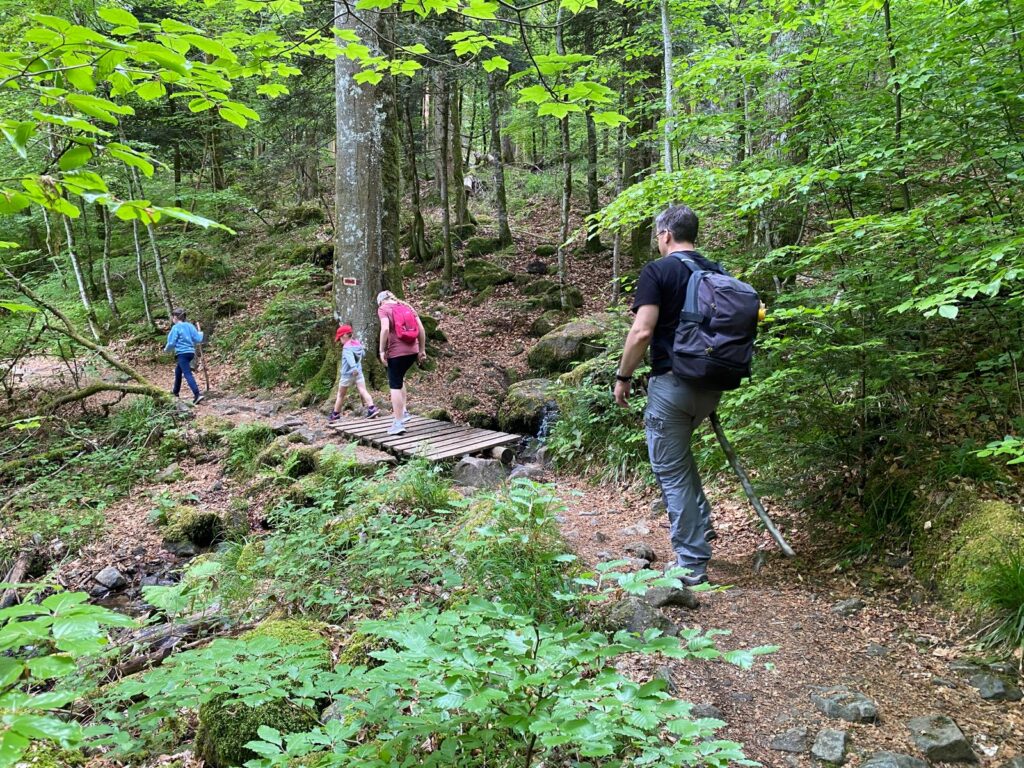 Balade en forêt au Hohwald en Alsace, près du Champ du Feu, sortie nature en famille en Alsace, dans les Vosges. Gratuit. randonnéecrédit photo ©Anaïse Mazzanti Lang