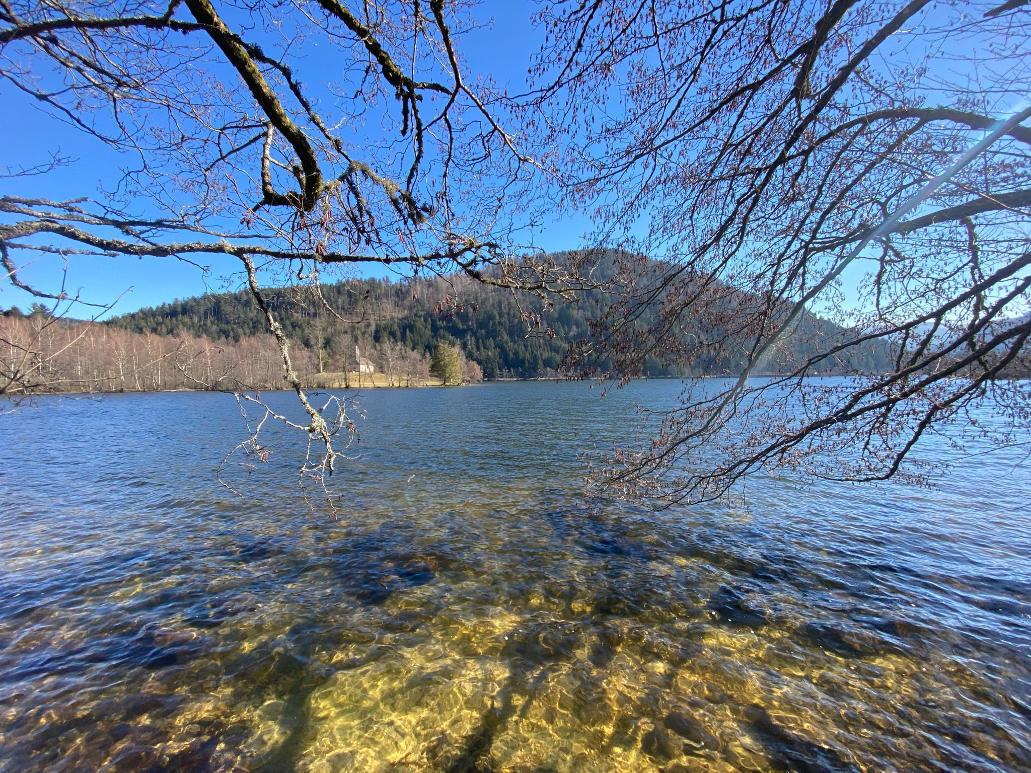 Le lac de Longemer, une sortie nature pour se rafraîchir en été et se balader le reste de l'année dans les Vosges près de Gerardmer. credit photo Anaîse Mazzanti Lang