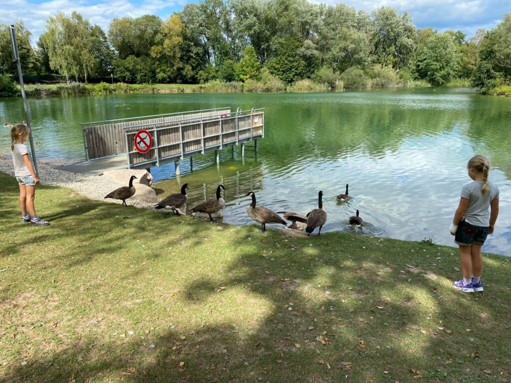 lac de rust en allemagne près d'europapark, accessible depuis le camping resort