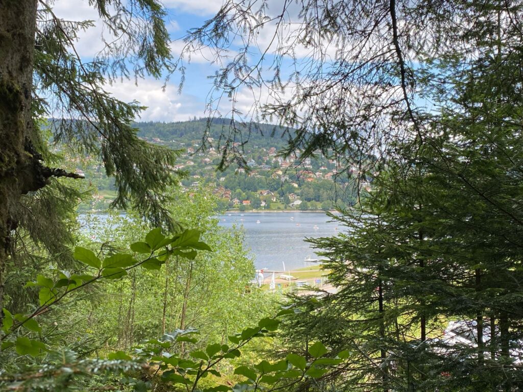 lac de gerardmer dans les vosges. baignade autorisée. pédalo. tour du lac. paddle