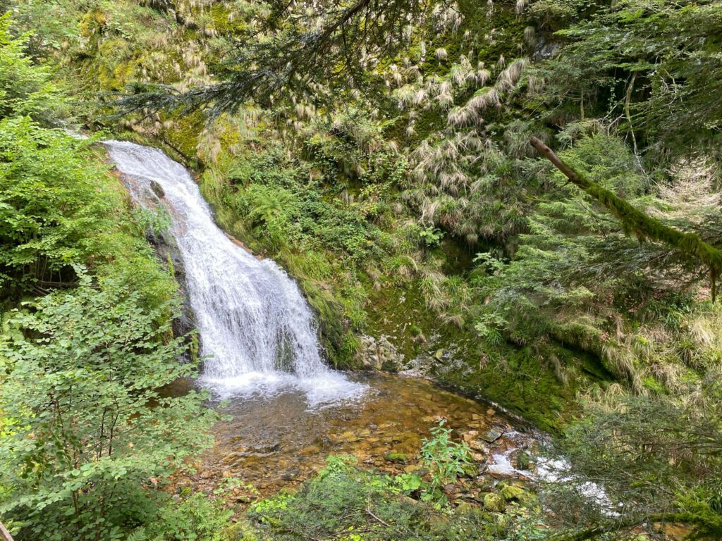 Découvrez les cascades d'Allerheiligen en Forêt-Noire : une balade entre chutes d'eau, forêt et ruines d'abbaye. Une sortie nature idéale à moins d'une heure de l'Alsace.