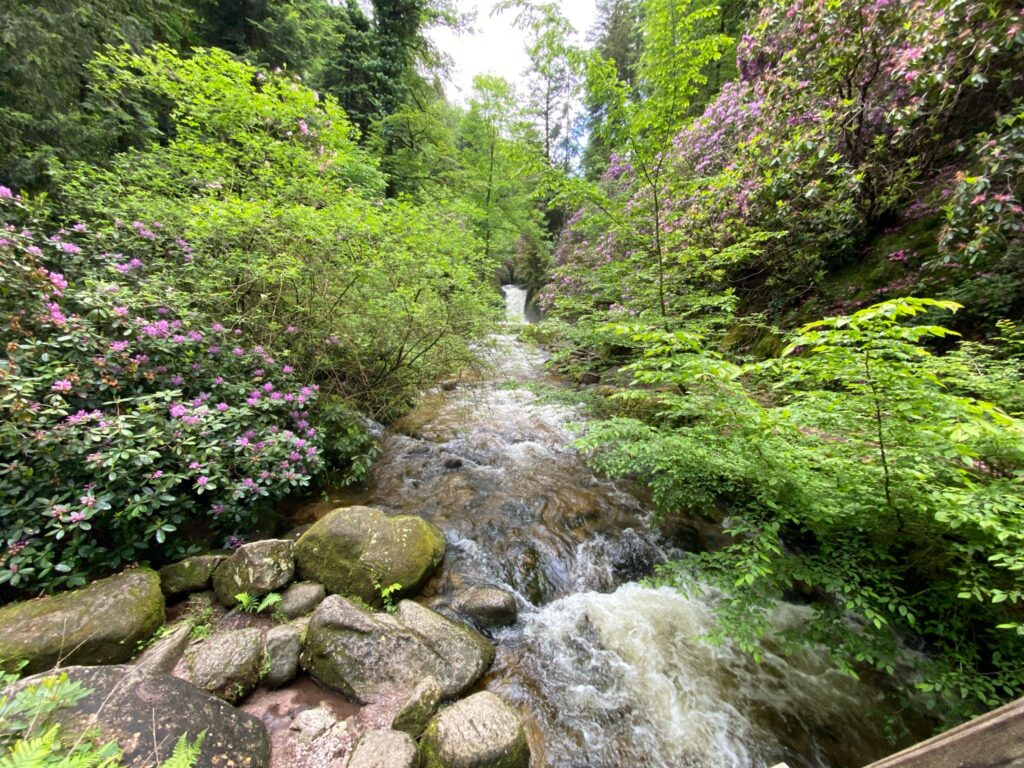 Geroldsauer Wasserfall Cascade en Allemagne près de Baden Baden dans le forêt noire près de Strasbourg, Alsace