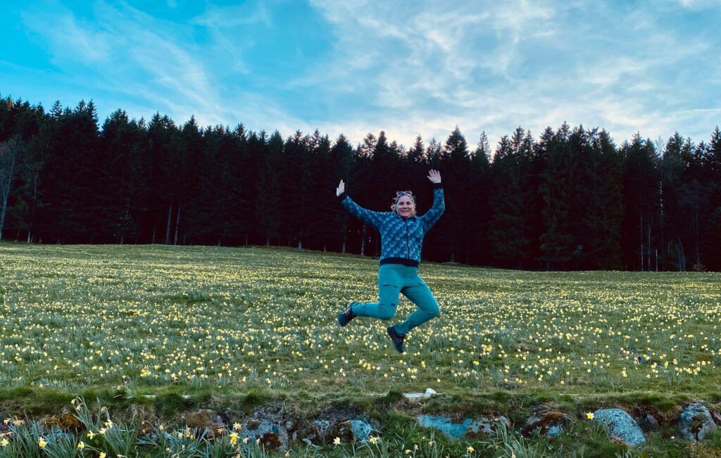 jonquilles proche gerardmer