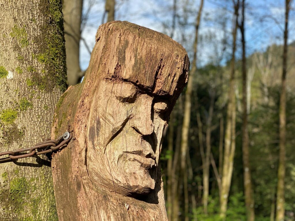balade gratuite en forêt en allemagne arbres sculptés près de fribourg- credit photo anaise mazzanti nature à deux pas, nature à 2 pas