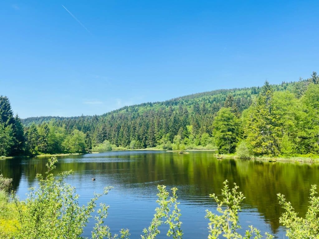 Lac de Lispach à La Bresse : une balade facile au cœur des Vosges Credit photo Delphine Nour Bounekal