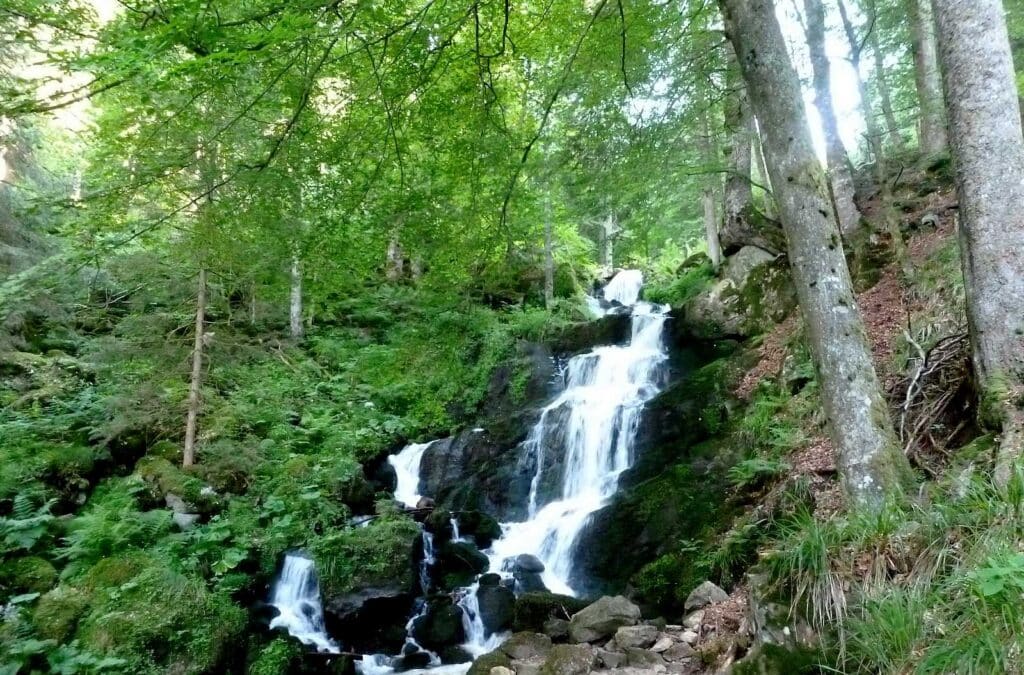 Cascade de la Serva en Alsace dans les Vosges Credit photo : TO de la Vallée de la Bruche