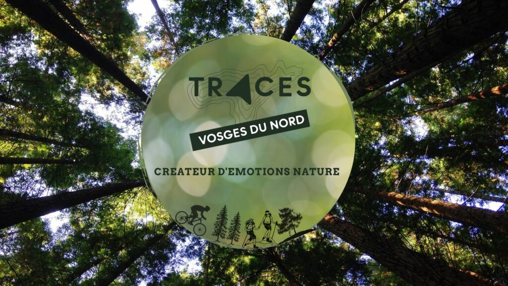 Agence réceptive Traces Vosges du Nord à La Petite Pierre en Alsace