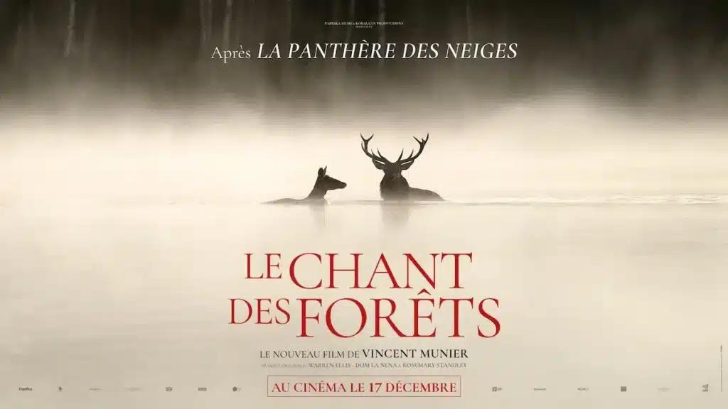 Affiche du film le chant des Forêts. Cinéma plein air au Donon cet été en Alsace dans les Vosges