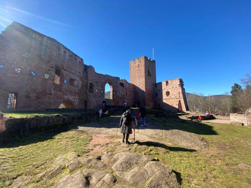 Château de Wangenbourg dans les Vosges alsaciennes, ruines médiévales entourées de forêt, visite et randonnée nature près de Strasbourg.