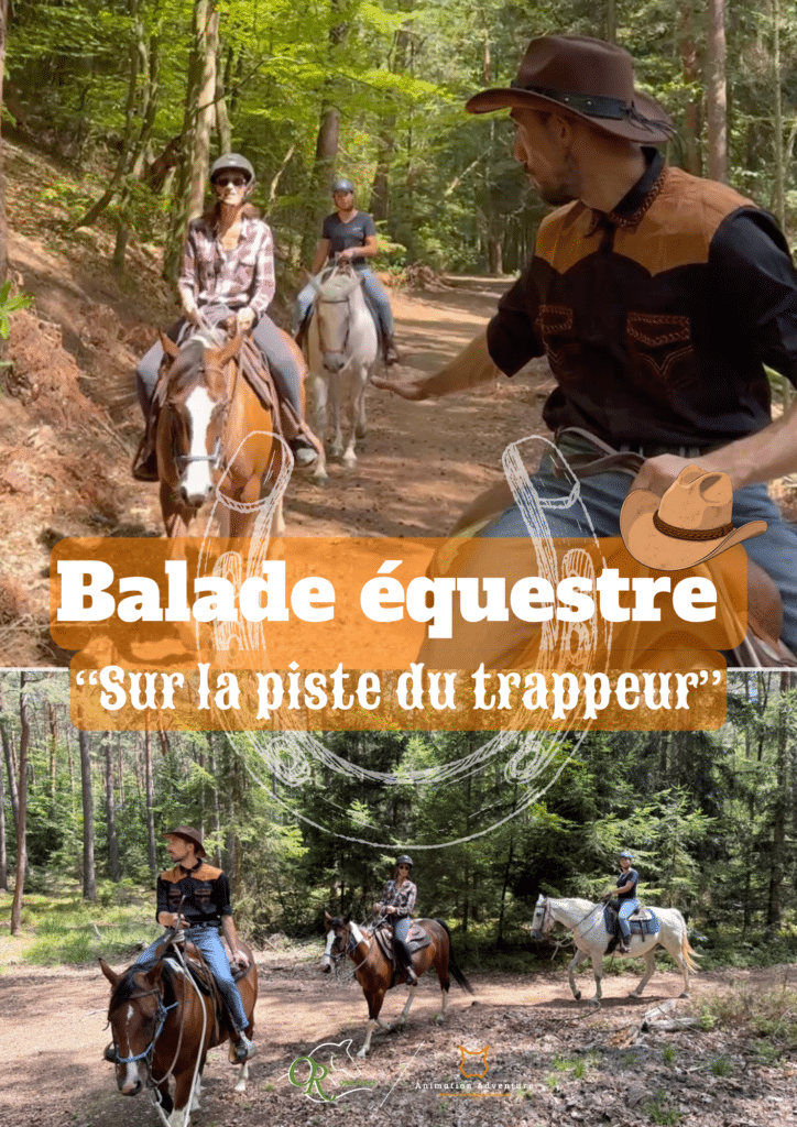 Baladez vous dans la peau d’un trappeur au coeur du Parc Naturel Régional des Vosges du Nord.