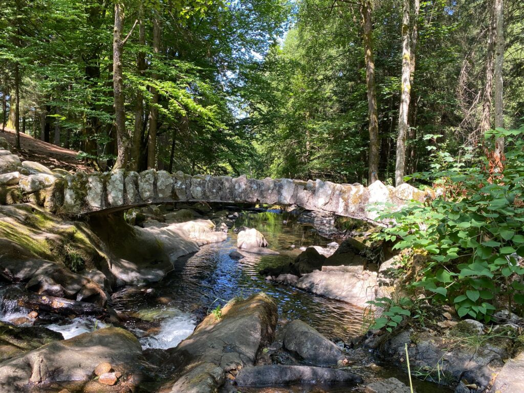 Pont du Saut des cuves, balade familiale à Xonrupt près de Gérardmer dans les Vosges.