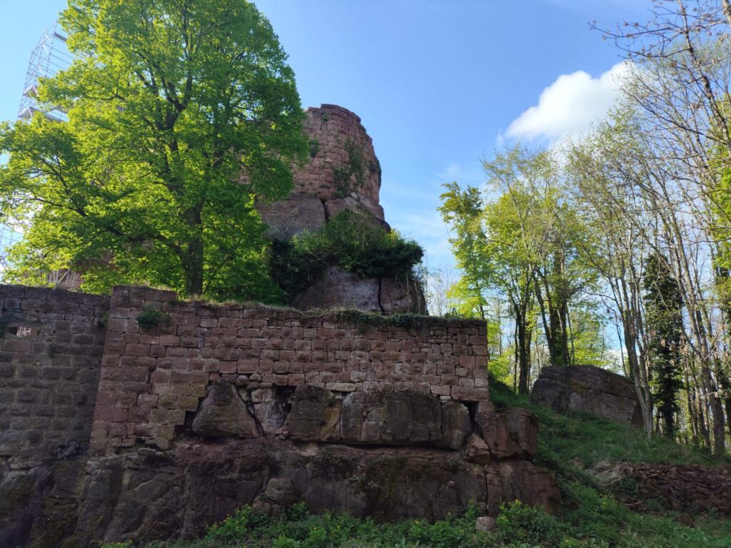 Visite guidée du Château de Guirbaden à Mollkirch.