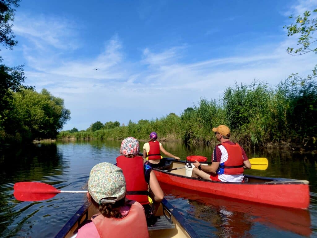 Sortie en famille : balade en canoë canadien avec les canoës du Ried. Une sortie nature en Alsace à Sélestat à moins d'une heure de Strasbourg.