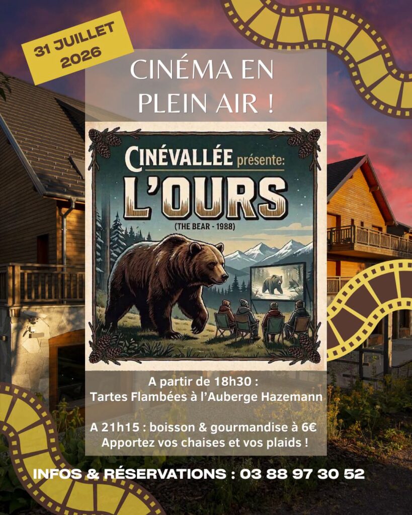 cine plein air l'ours au champ du feu dans les vosges en Alsace cet été