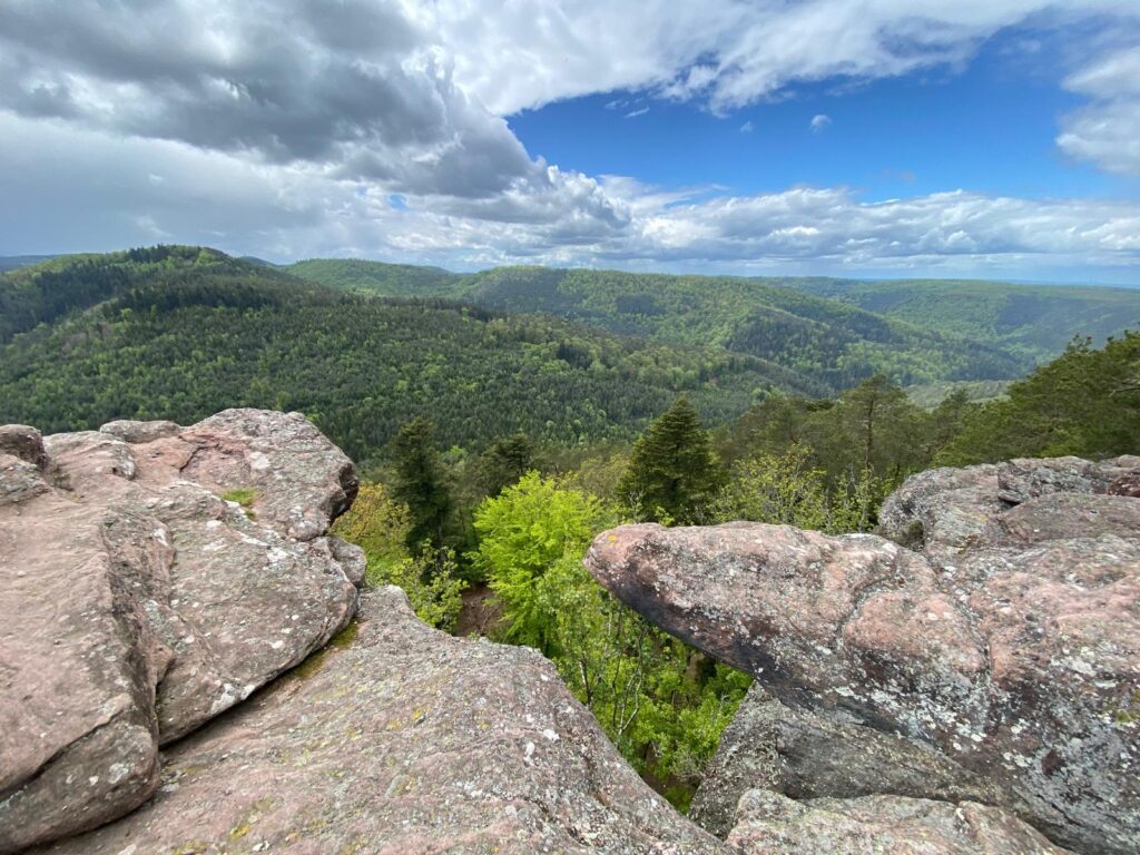 Rocher du Brotschà Saverne, randonnée facile en Alsace . Sortie nature à deux pas de Strasbourg.