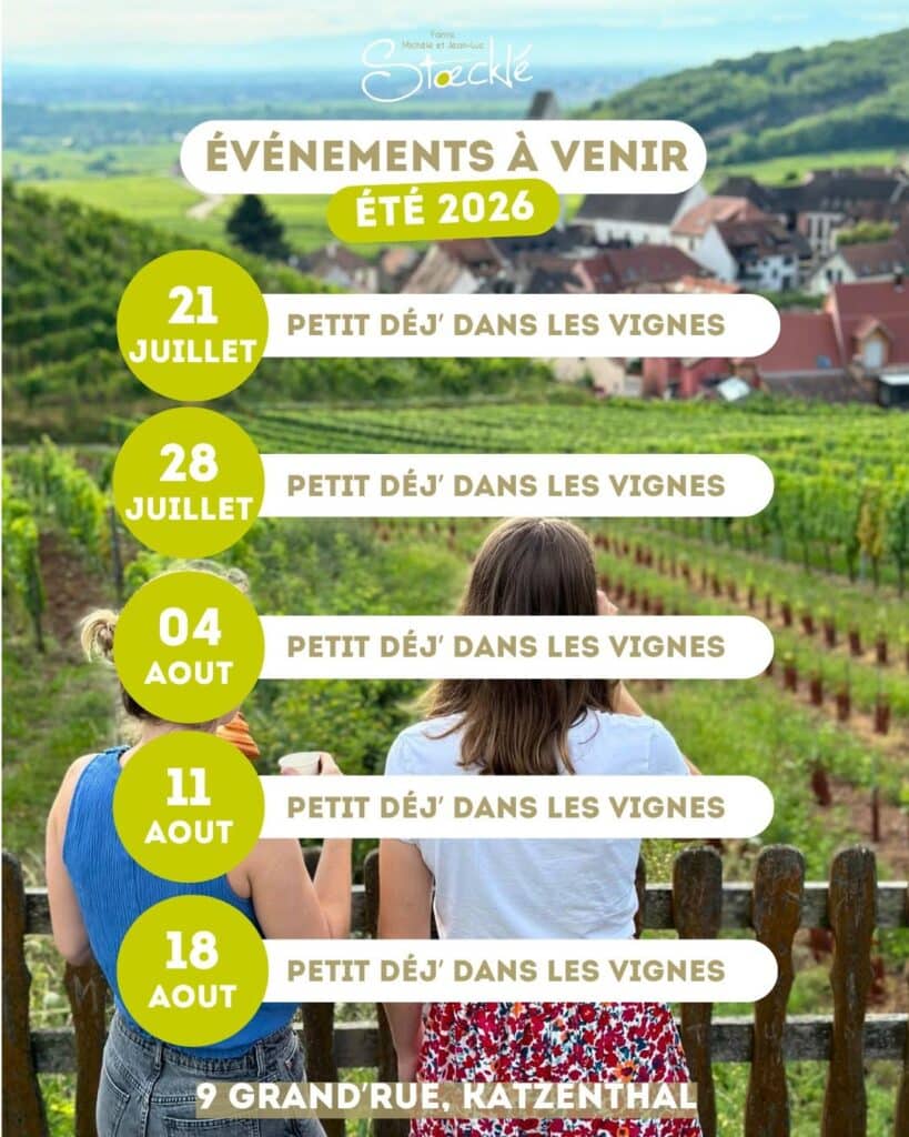 Balade matinale dans les vignes de Katzenthal avec vue sur le château de Wineck en Alsace.