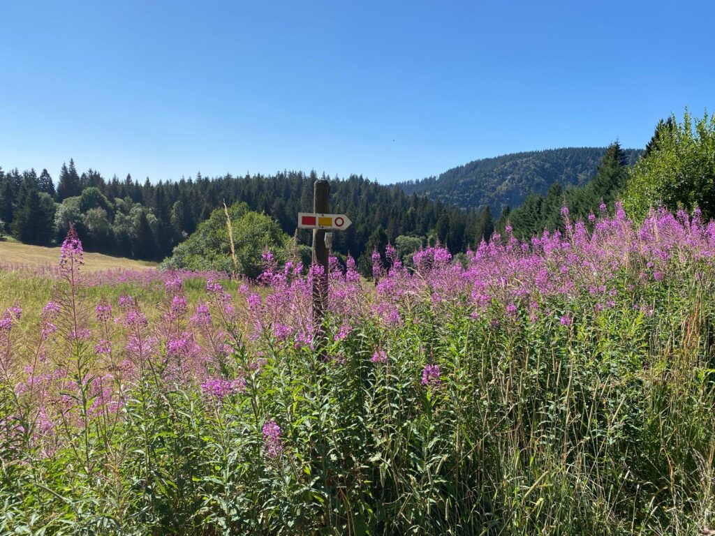 Randonnée dans les Vosges à Orbey. Départ col du Calvaire pour faire le tour du lac blanc et lac noir.