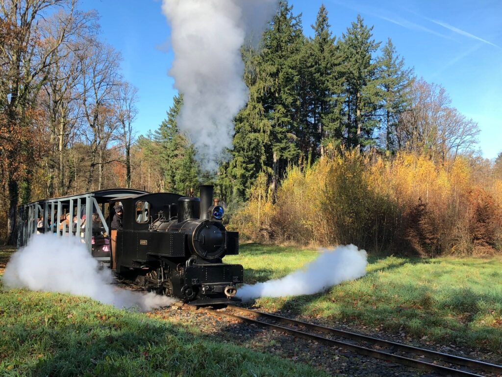 Un voyage hors du temps à bord d'un authentique train à vapeur entre Cernay et Sentheim, au cœur de la vallée de la Doller.