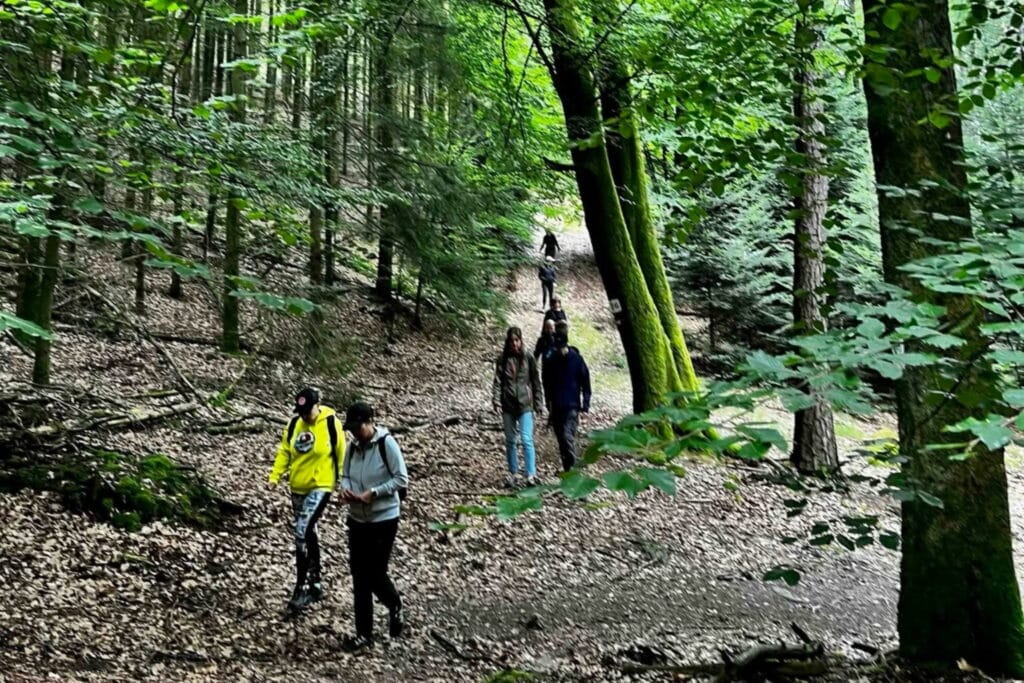 Balade Nature & Patrimoine : Ensauvagement, mémoire et bien-être à Lampertsloch Avec Myrtille Récréation dans les Vosges du Nord, Alsace