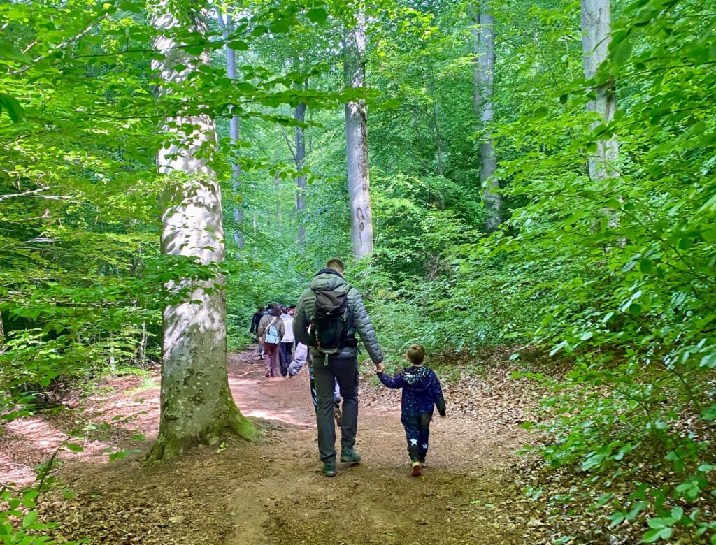 père et fils en forêt en Alsace dans les Vosges du Nord