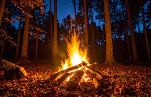 Feu de camp en forêt - photo canva