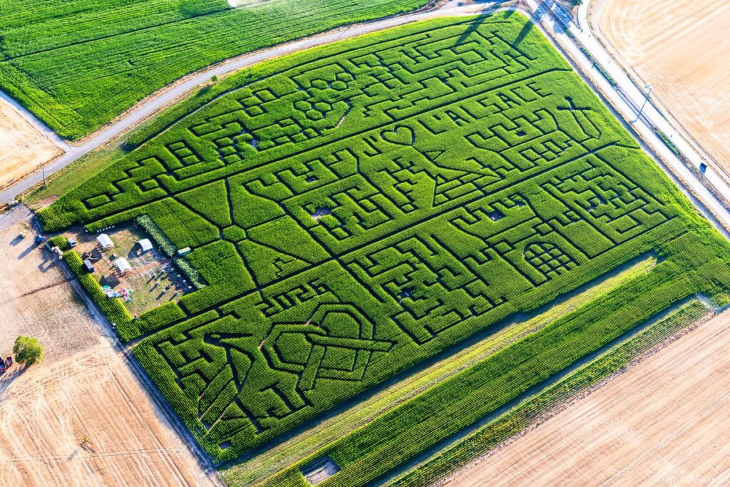 Labyrinthis by Ferme Kessler, labyrinthe de maïs dans les champs en Alsace. Sortie nature en famille. Expérience insolite cet été dans les Haut-Rhin.