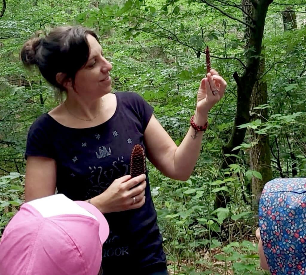 Animation nature avec Myrtille Récréation dans les Vosges du Nord en Alsace