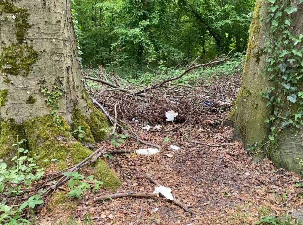 forêt remplie de déchets, papier wc, préservatifs, mouchoirs, bouteilles etc. La forêt n'est pas une poubelle. Respectons la nature, en Alsace, dans les Vosges, en Forêt Noire et autour.