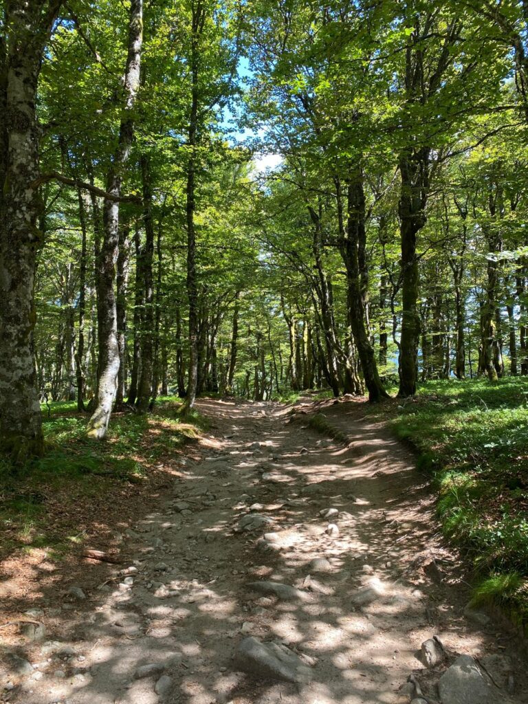 Randonnée familiale du Hohneck depuis le col de la Schlucht avec vue sur les Hautes Vosges en Alsace.