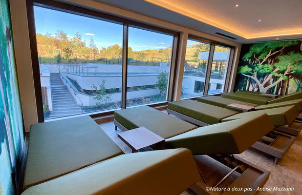 Salle de repos thème nature au Royal Palace Hôtel et Spa de Kirrwiller, en Alsace.