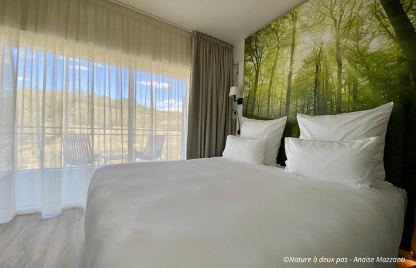 Royal Palace Hotel & Spa Kirrwiller - chambre nature