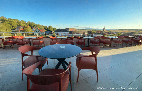 Rooftop, terrasse panoramique avec vue sur Kirrwiller et le Royal Palace. Restaurant la Plume Gourmande.