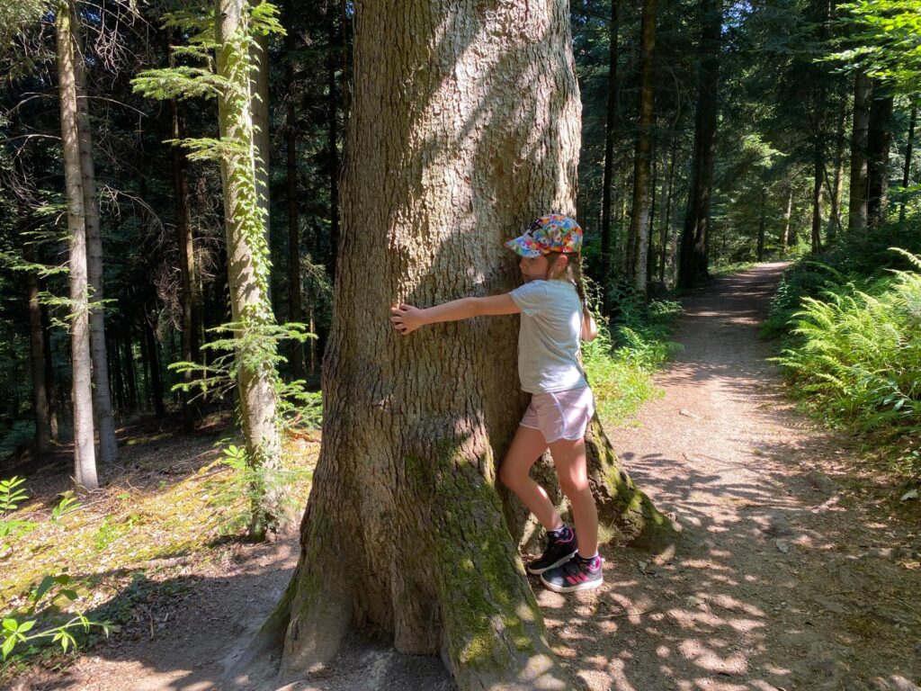bain de foret parent enfant en alsace atelier nature en famille