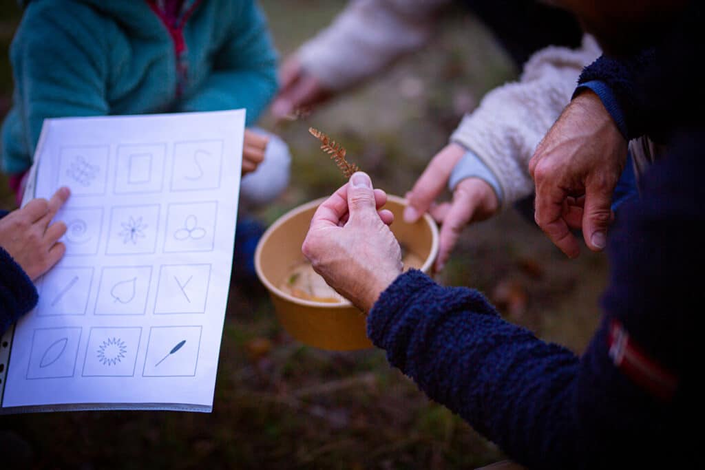 Atelier nature dans les Vosges du Sud à Luxeuil les bains au Parc animalier de Fougerolles
