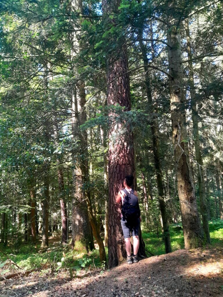 Personne qui embrasse un arbre - Bains de forêt, sylvothérapie, communication animale avec Valérie A pas de Louve en Alsace près de Ribeauvillé, Aubure, Thannenkirch