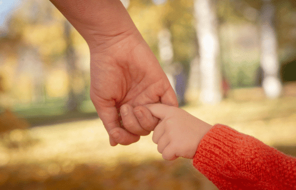 bain de foret parent enfant en alsace atelier nature en famille