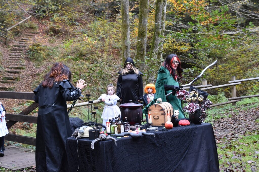 Halloween 2026 au Train Forestier d’Abreschviller dans les Vosges