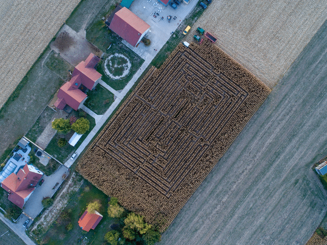 Labyrinthe de maïs nocturne Halloween à la Ferme Kieffer près de Strasbourg en Alsace