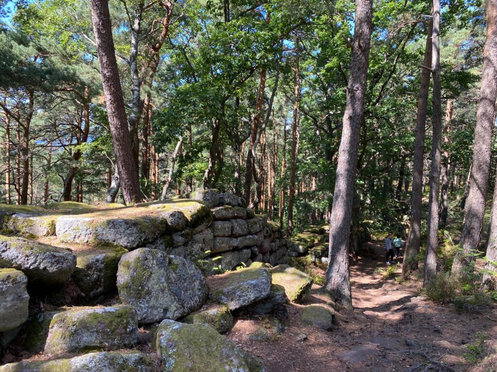 Randonnée au mur païen en Alsace près du Mont Sainte Odile à Ottrott